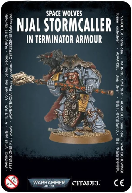 Njal Stormcaller In Terminator Armour 3 Njal Stormcaller In Terminator Armour