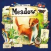 Meadow 1 Meadow -CARDHAUS Sales image 60610.1649701921