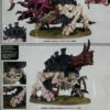 Exocrine -CARDHAUS Sales img726 42444.1662668093
