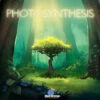 Photosynthesis 1 Photosynthesis -CARDHAUS Sales pic3364832 92781.1649702000